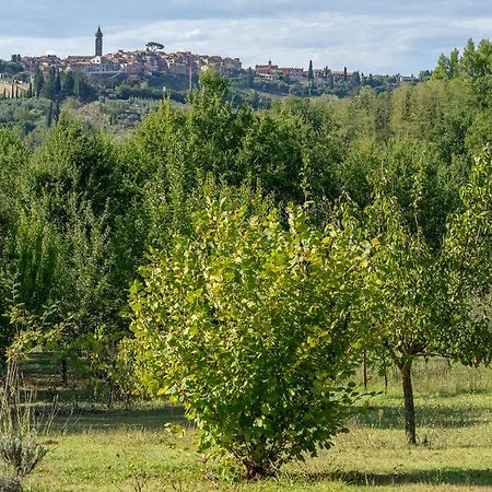 Agriturismo La Valle Peccioli Dış mekan fotoğraf