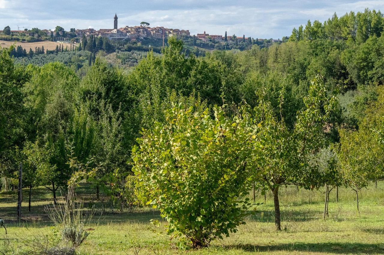 Agriturismo La Valle Peccioli Dış mekan fotoğraf